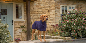 Ruff & Tumble Drying Coat Blackberry Labrador Outside Cottage