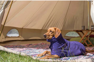 Best Dog Drying Towels For Wet Weather