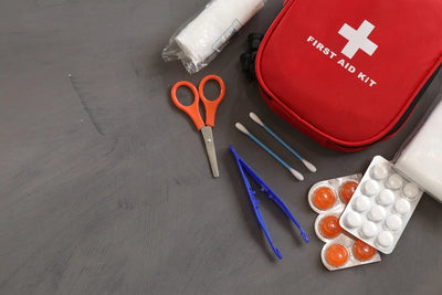 Best Dog First Aid Kit and Why You Should Have One