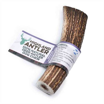 Antler Dog Chew